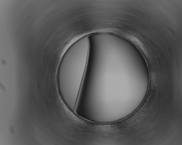 X0000091101428200708061012