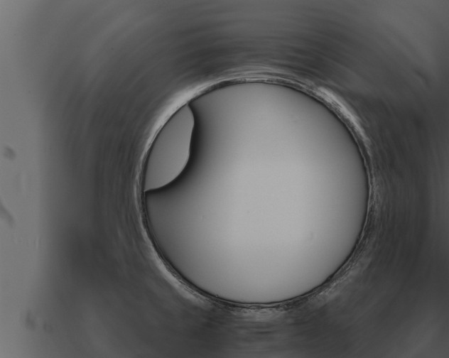 X0000091101429200708061012