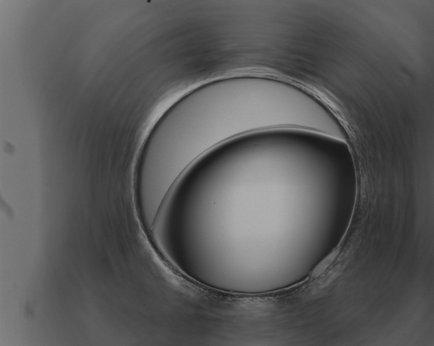 X0000091101430200708061012
