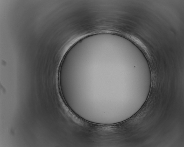 X0000091101431200708061012