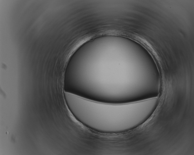 X0000091101433200708061012