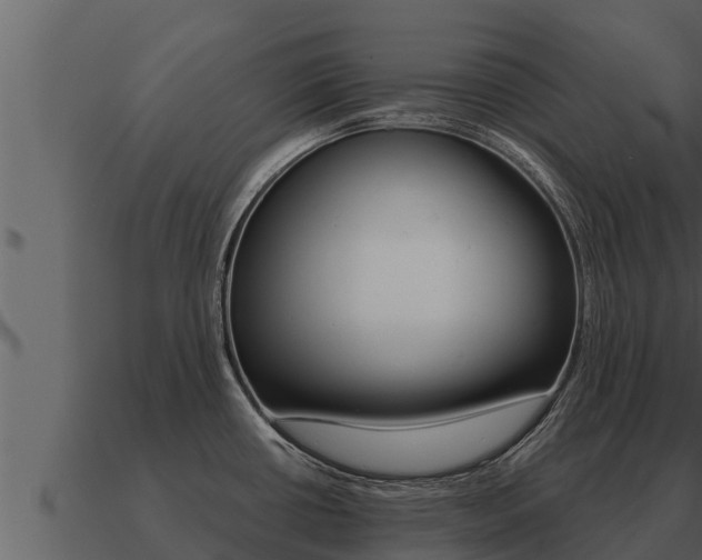 X0000091101434200708061012