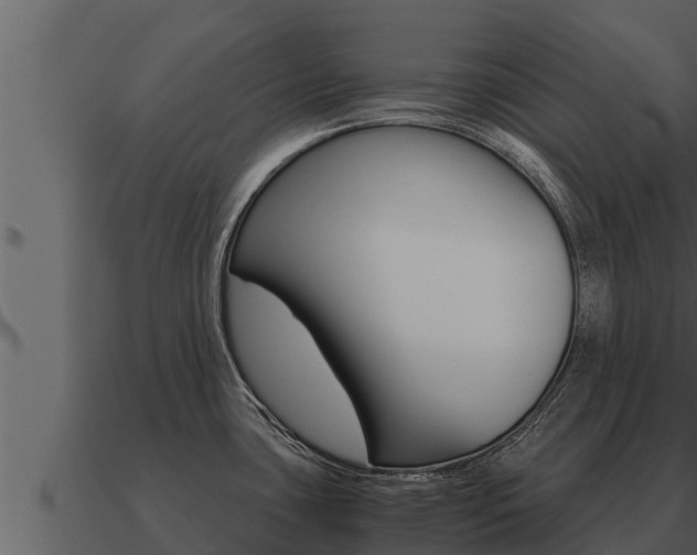 X0000091101435200708061012
