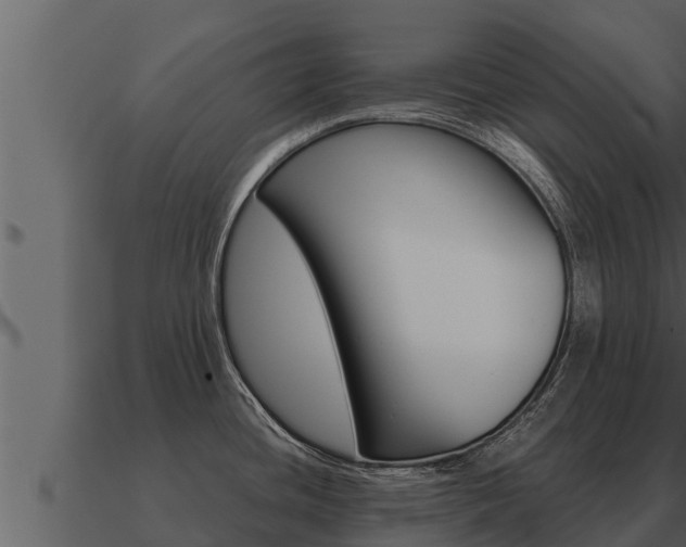 X0000091101436200708061012