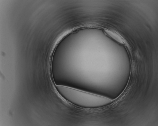 X0000091101437200708061012