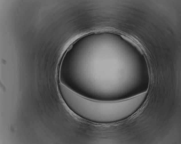 X0000091101438200708061012