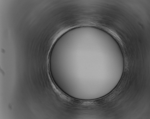 X0000091101439200708061012