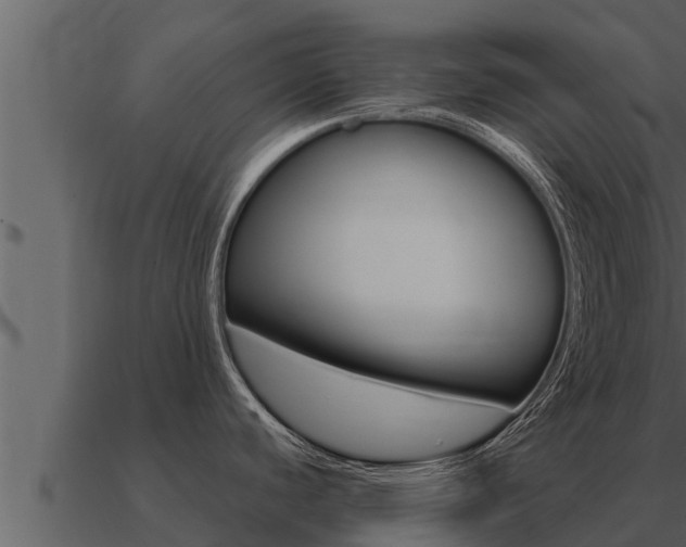 X0000091101440200708061012