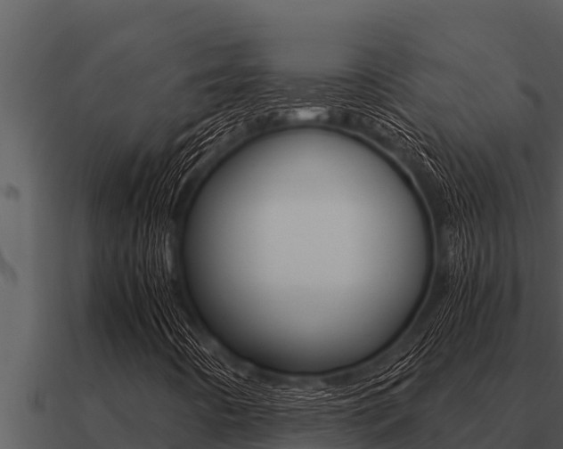 X0000091101442200708061011