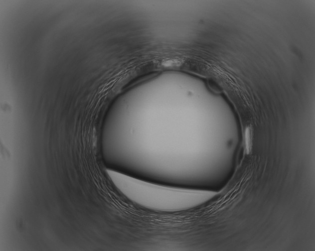 X0000091101443200708061011