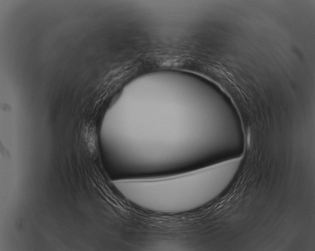 X0000091101444200708061011