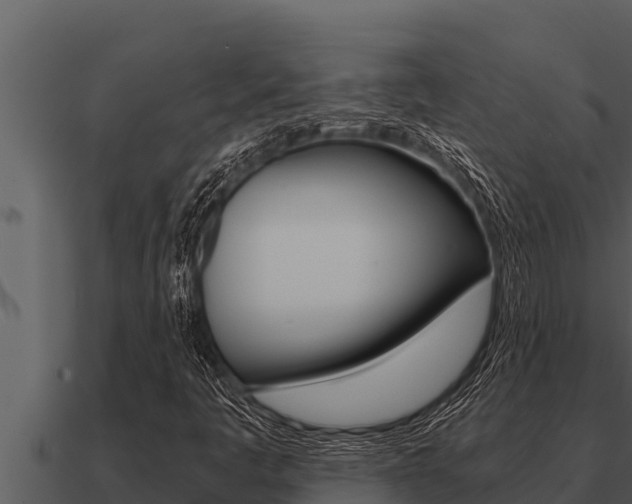 X0000091101445200708061011