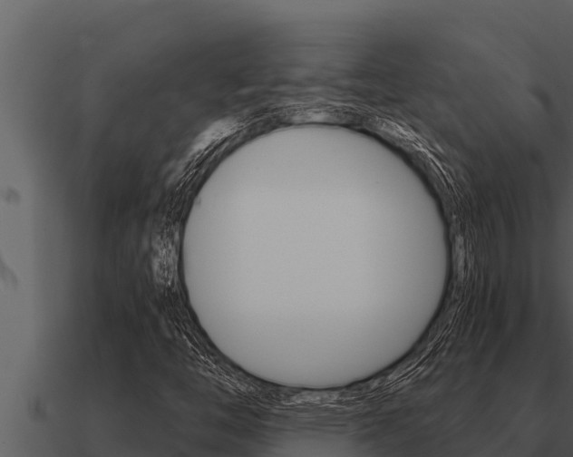 X0000091101446200708061011