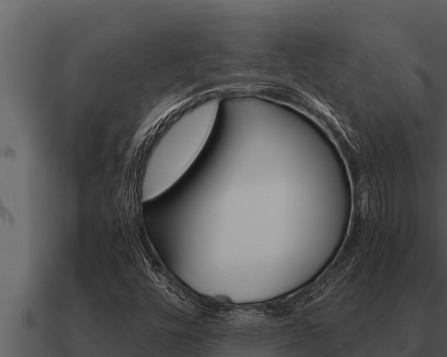 X0000091101448200708061011