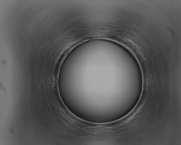 X0000091101449200708061011