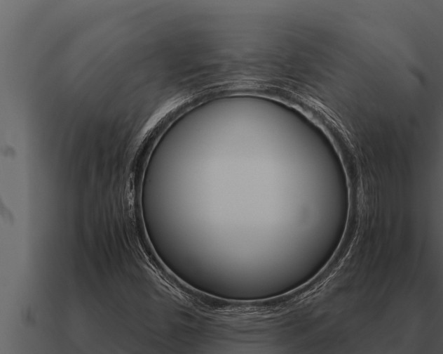 X0000091101450200708061011