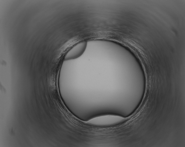 X0000091101451200708061011