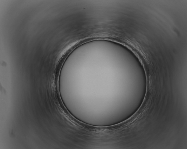 X0000091101452200708061011