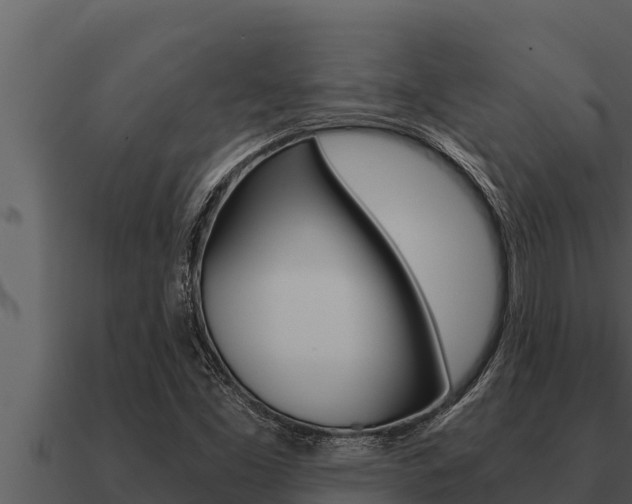 X0000091101453200708061011