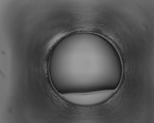 X0000091101455200708061011