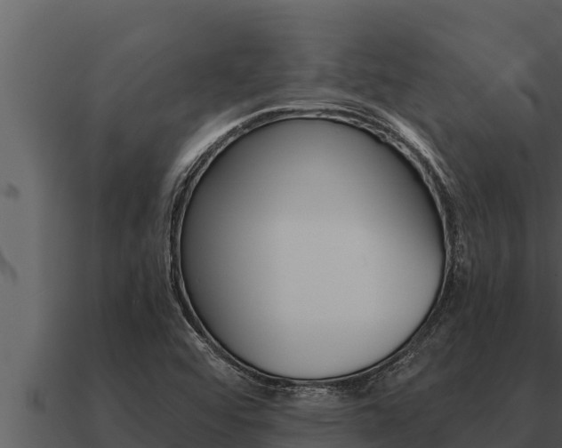 X0000091101456200708061011