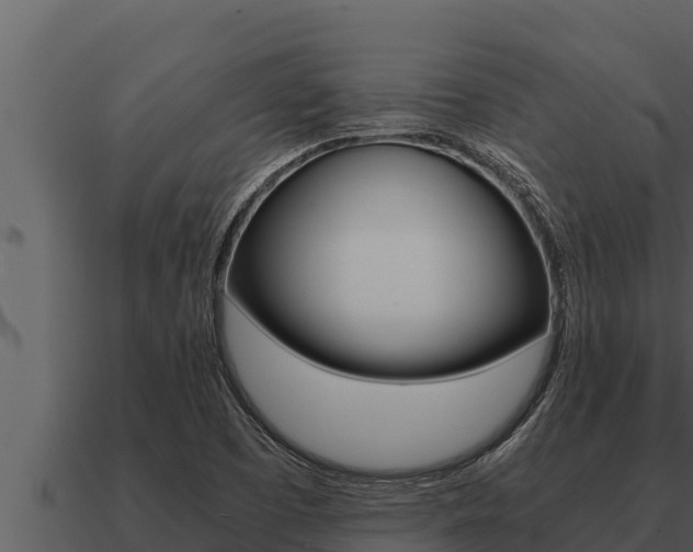 X0000091101457200708061011