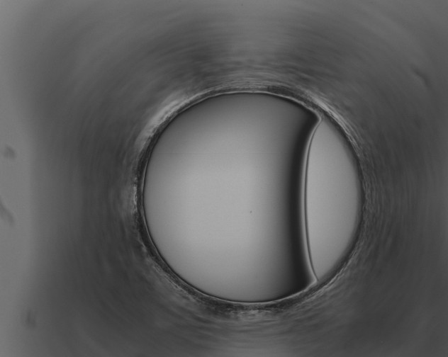 X0000091101459200708061011