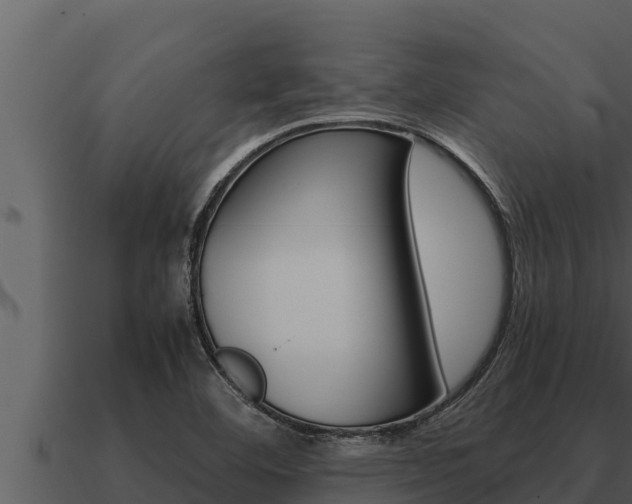 X0000091101460200708061011