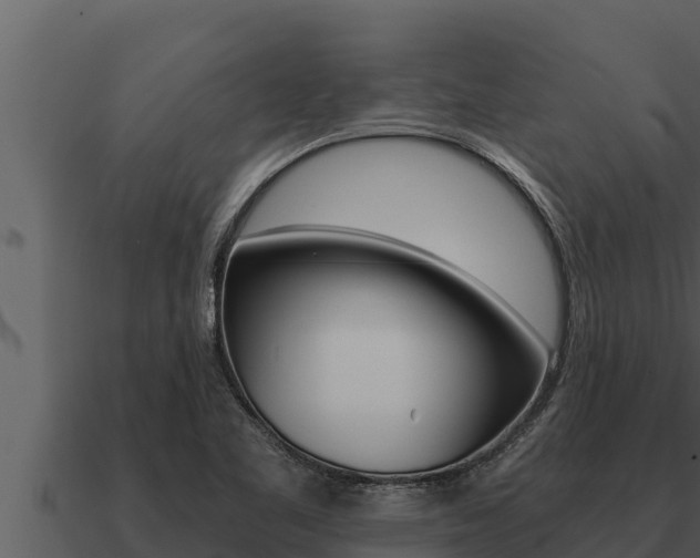 X0000091101461200708061011