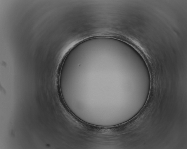 X0000091101463200708061011