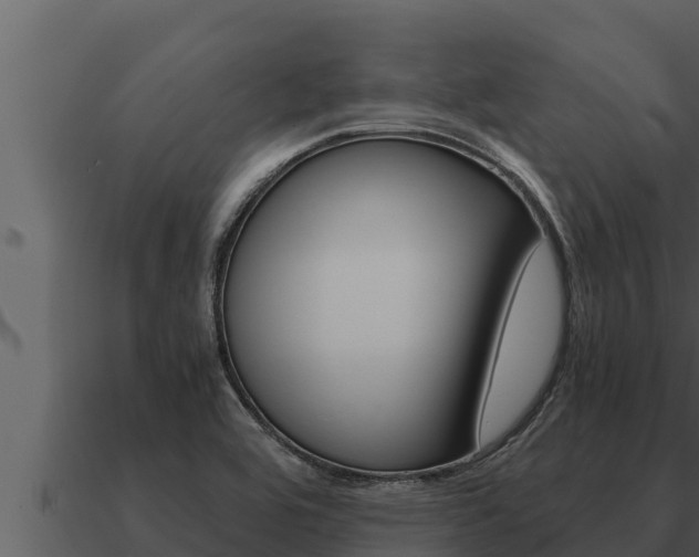 X0000091101464200708061011
