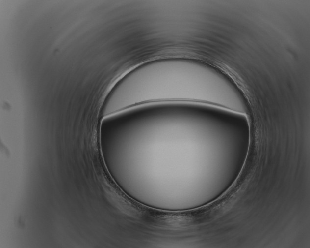 X0000091101465200708061011