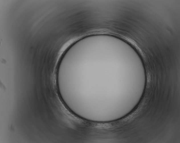 X0000091101466200708061011