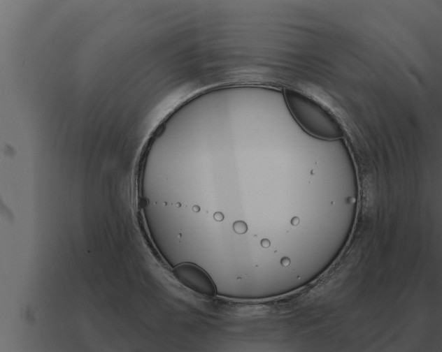 X0000091101467200708061011