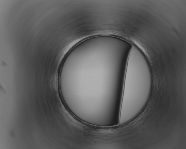 X0000091101468200708061011