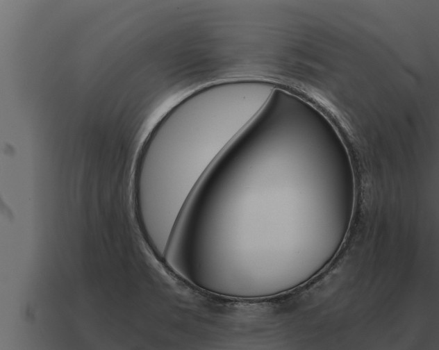 X0000091101469200708061011