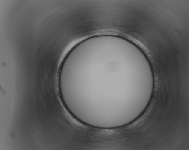 X0000091101470200708061011
