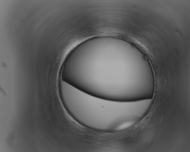 X0000091101471200708061011