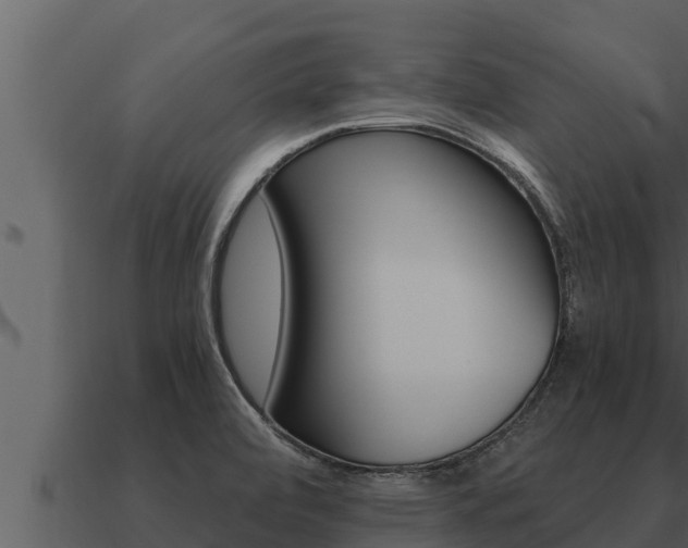 X0000091101472200708061011