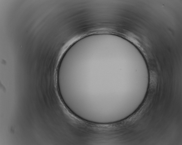 X0000091101474200708061011