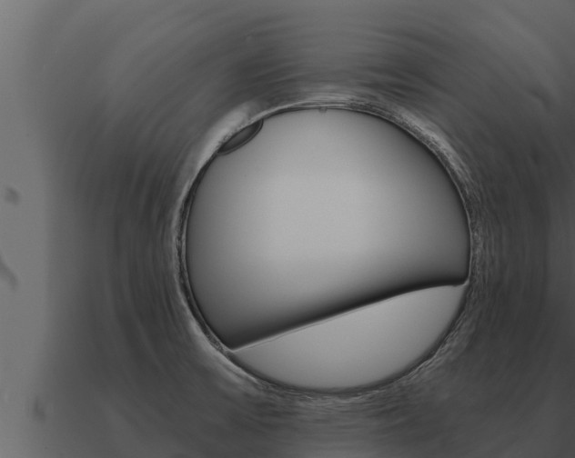 X0000091101475200708061011