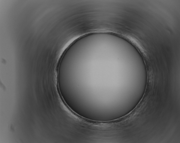 X0000091101476200708061011
