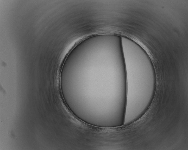X0000091101477200708061011
