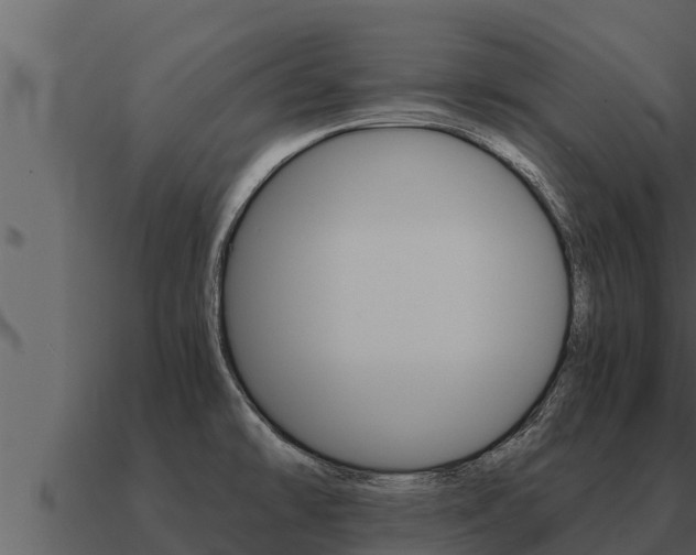 X0000091101478200708061011