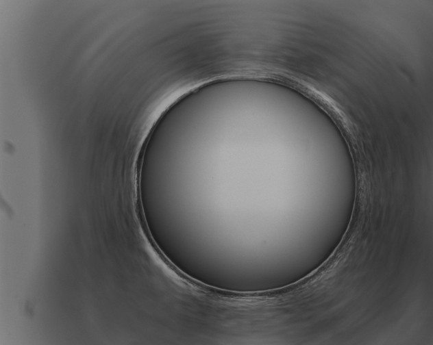 X0000091101479200708061011