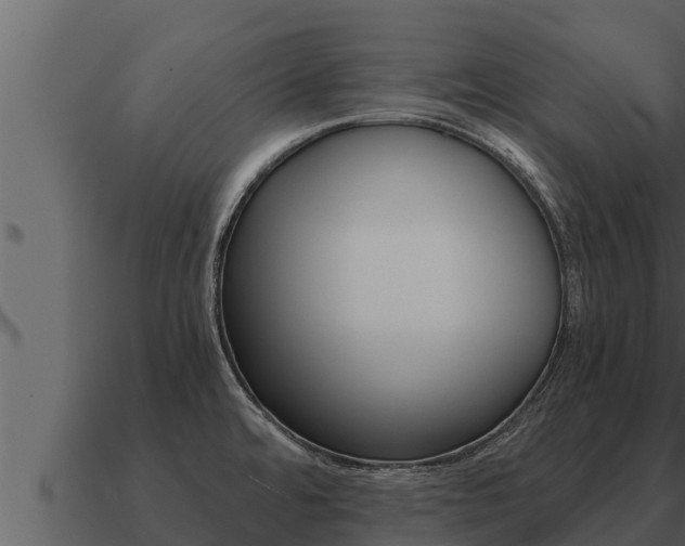 X0000091101480200708061011
