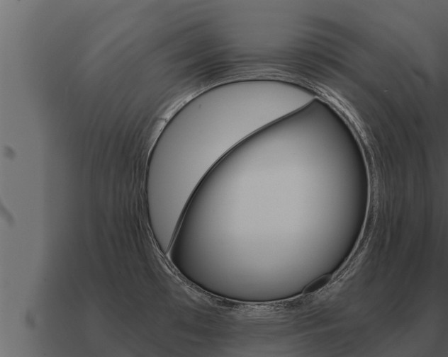 X0000091101481200708061010