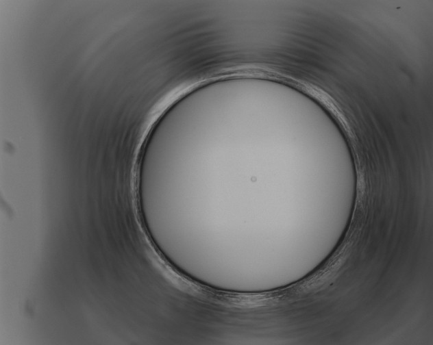X0000091101482200708061010