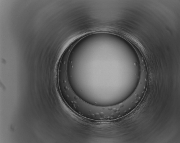 X0000091101483200708061010