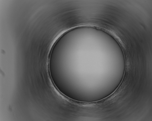 X0000091101484200708061010